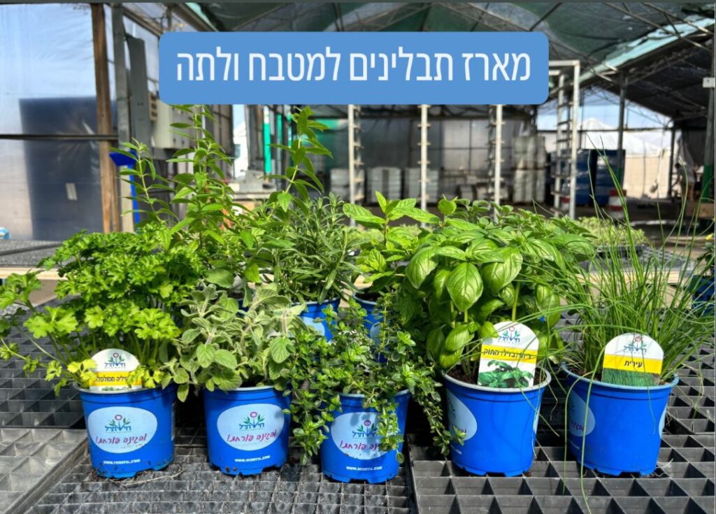 משתלה אונליין
