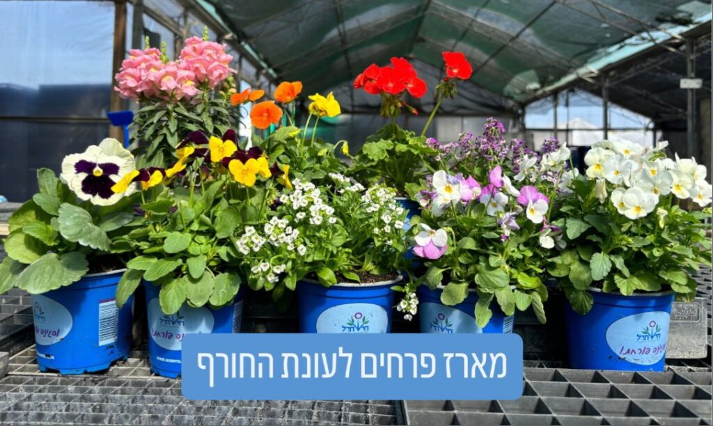 משתלה טובה